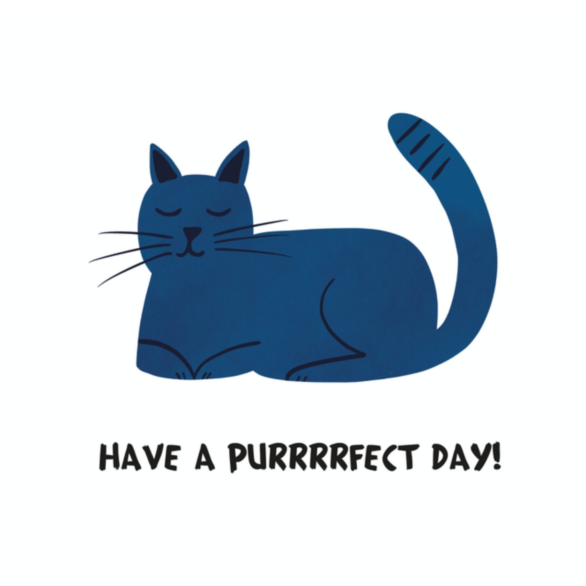 Greetz Verjaardagskaart kat Vierkant