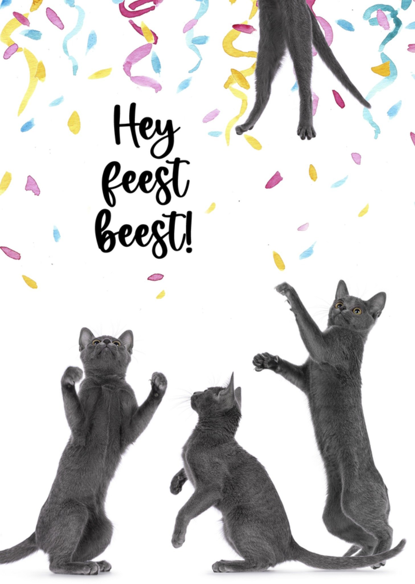 Verjaardagskaart Grappig Feestbeest! Kaart Catchy Images