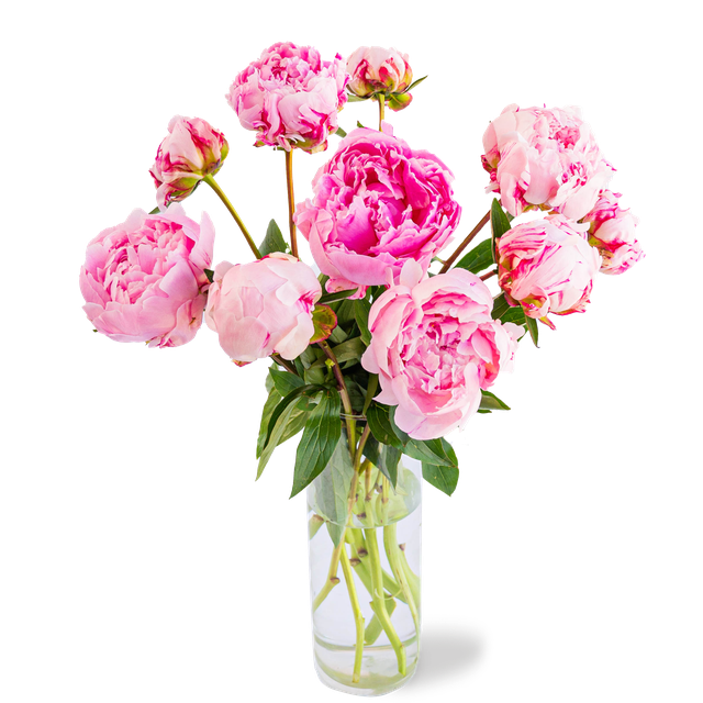 Boeket Pioenen roze | M/L