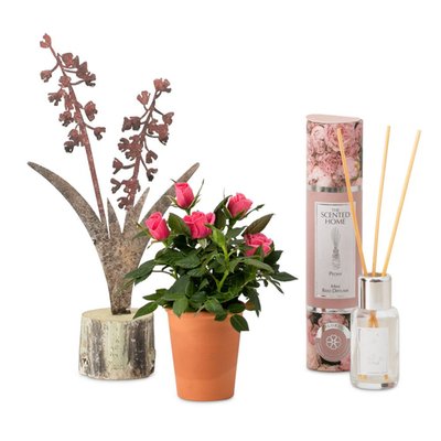 Giftset | Potrozen met Geursticks