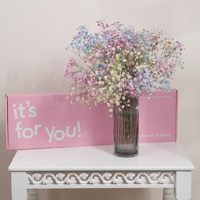 The Letterbox Candyfloss Gypsophilia