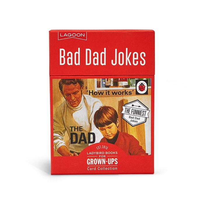 Ladybird Bad Dad Jokes