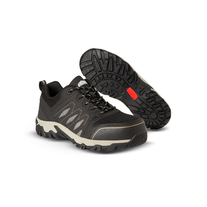 ショートスキー99cm ブーツ24.5 SOUTHLINE DOLOMITE DOLOMITE Zernez Gtx W's Shoe