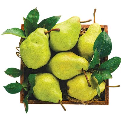 ESPERES KÖRTE LÉDIG termékképe