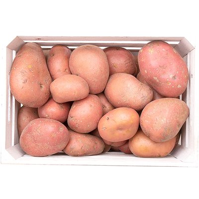 SALÁTA BURGONYA termékképe