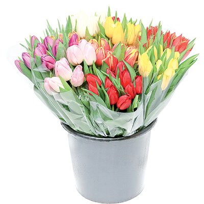 TULIPÁN, RÓZSA CSOKOR* termékképe