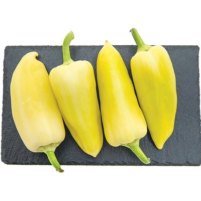 TV PAPRIKA termékképe