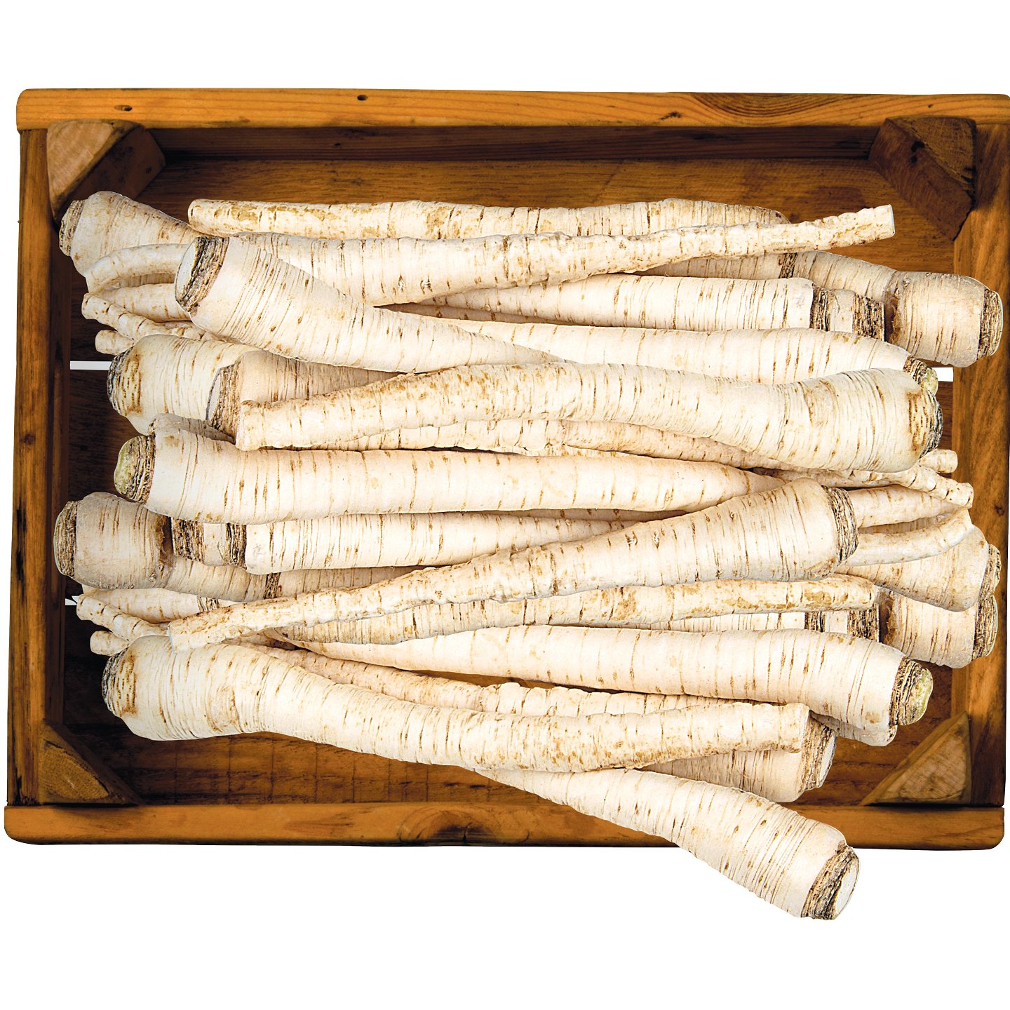 Petrezselyemgyökér