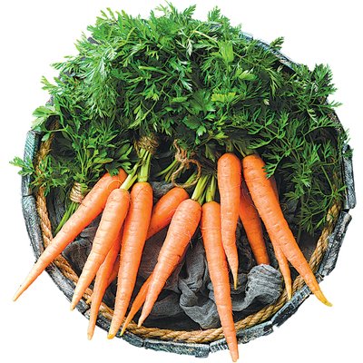Image of CSOMÓS SÁRGARÉPA