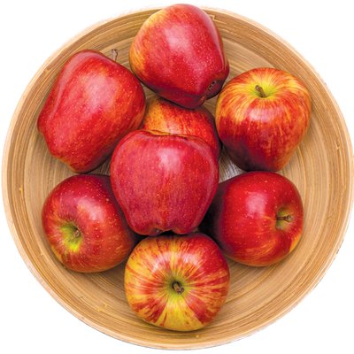 RED CHIEF ALMA termékképe