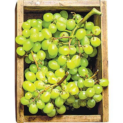 MAG NÉLKÜLI FEHÉR SZŐLŐ termékképe