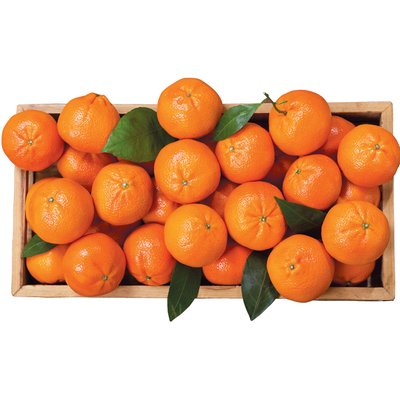 Image of MANDARIN