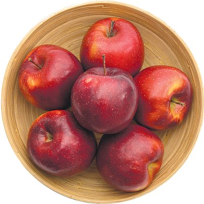 RED JONAPRINCE ALMA termékképe