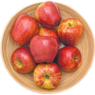 RED JONAPRINCE ALMA termékképe