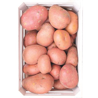 PIROS BURGONYA termékképe