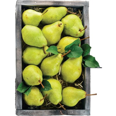 LIMONERA KÖRTE termékképe