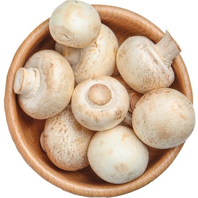 CSIPERKE GOMBA XXL termékképe