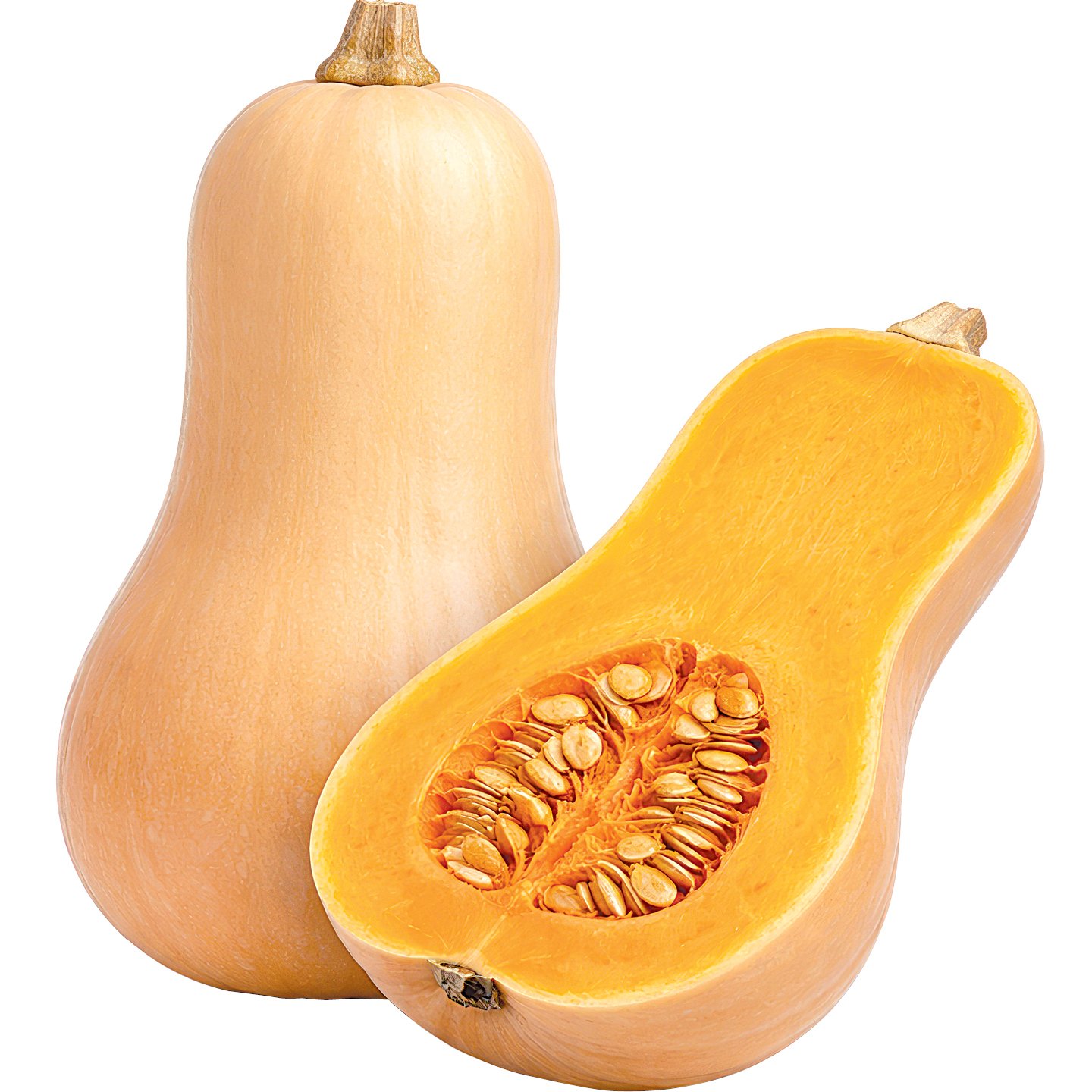 Sütőtök