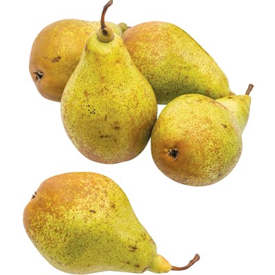 NOVEMBRA KÖRTE termékképe