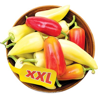 LECSÓPAPRIKA XXL termékképe