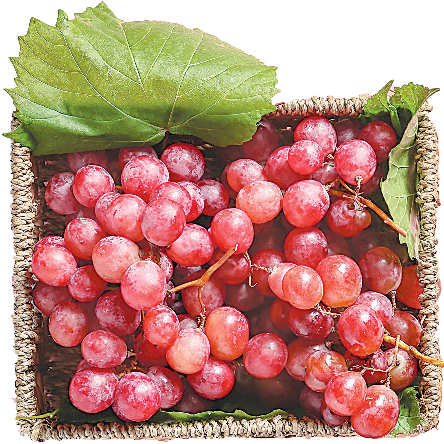 Magnélküli Piros Szőlő