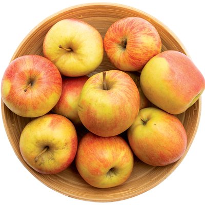 SHAMPION ALMA termékképe