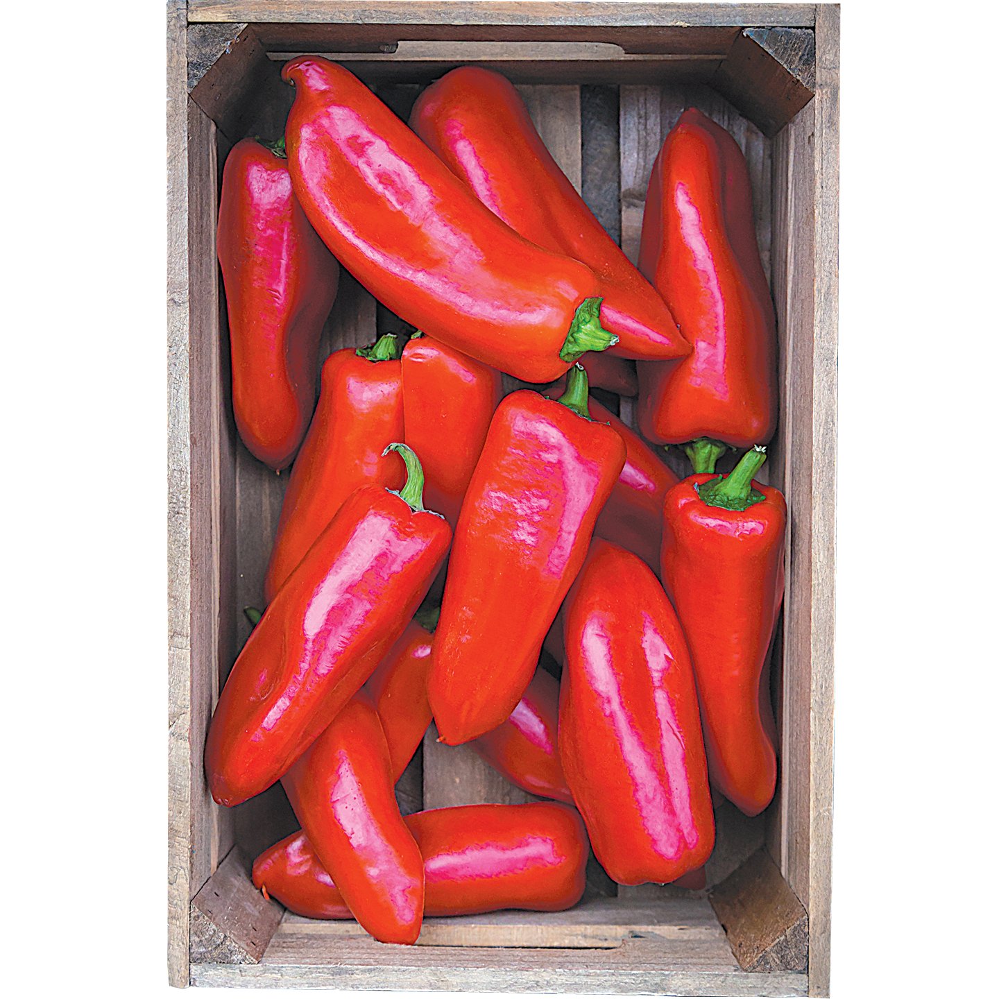 Kápia Paprika