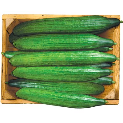 KÍGYÓUBORKA termékképe