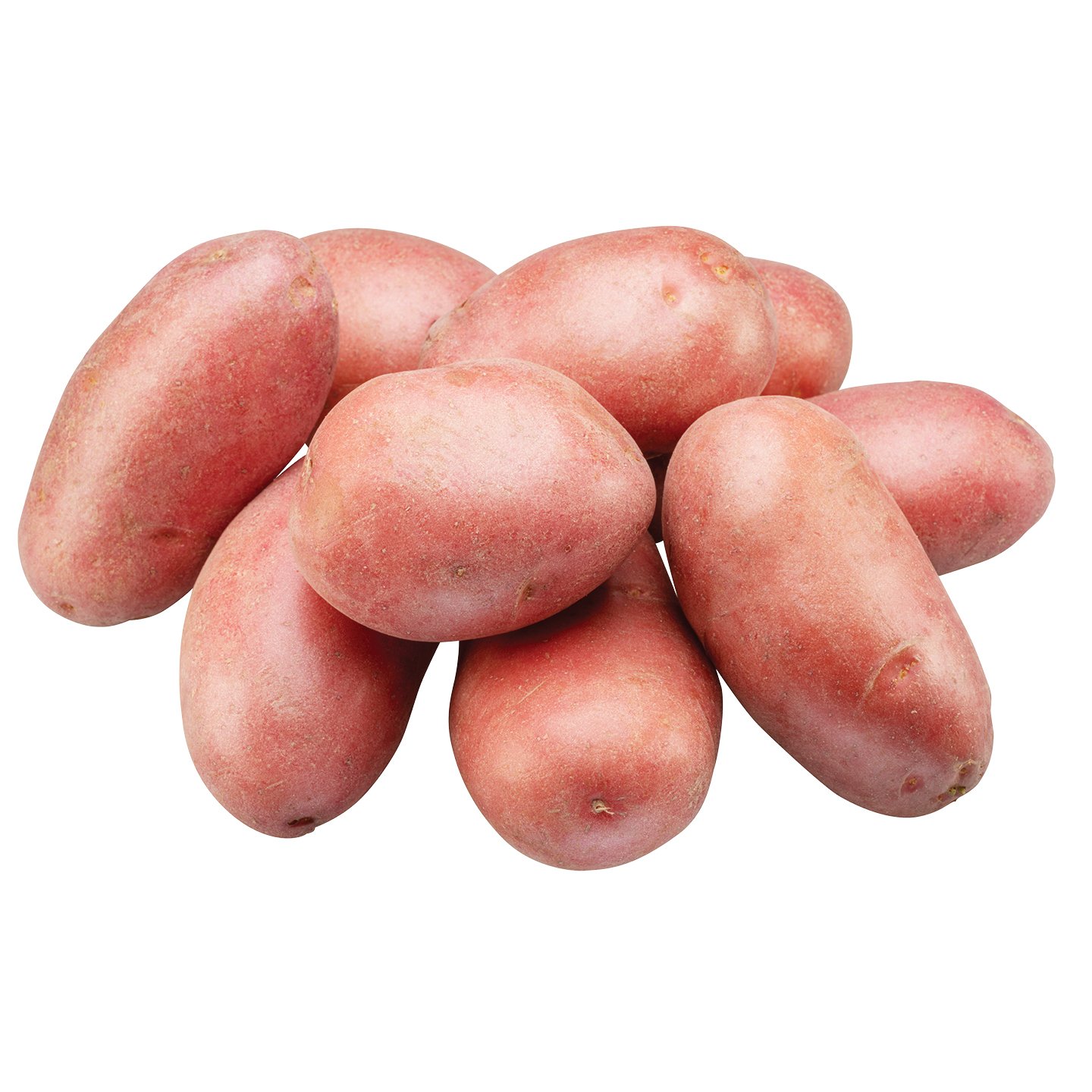 Piros Burgonya Xxl