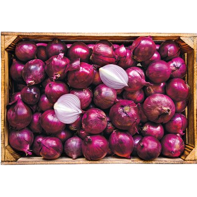 FOZOHAGYMA 5DB/NECC termékképe