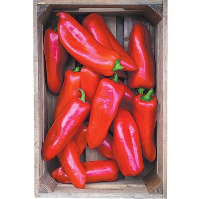 Image of KÁPIA PAPRIKA