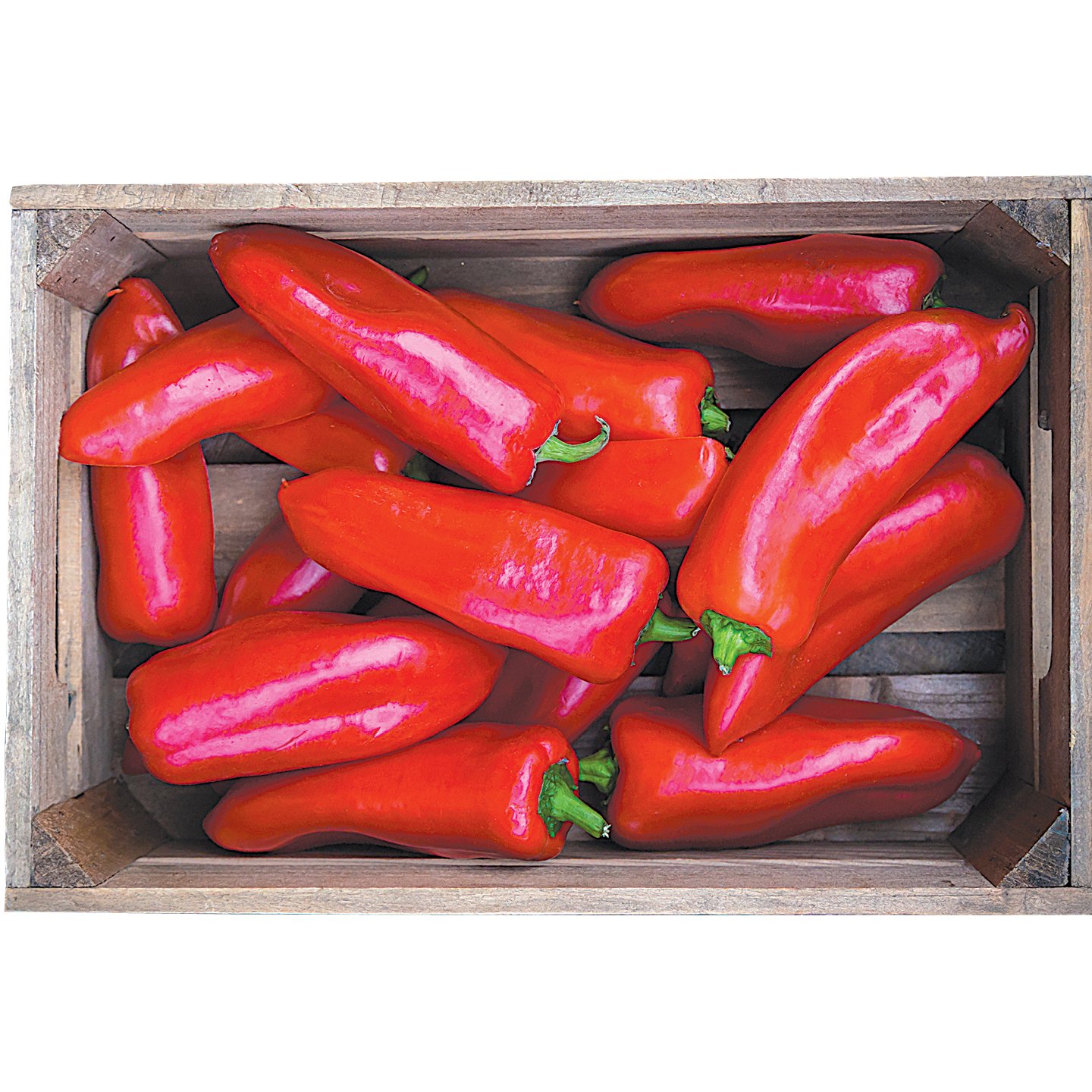 Kápia Paprika