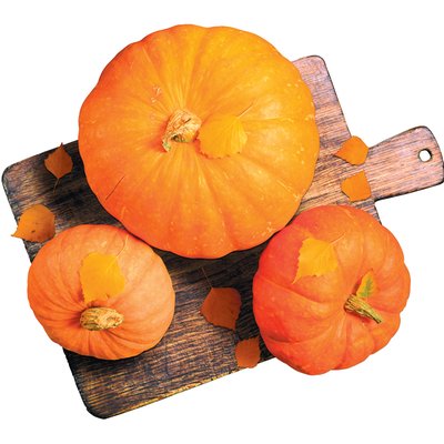 HALLOWEEN TÖK termékképe