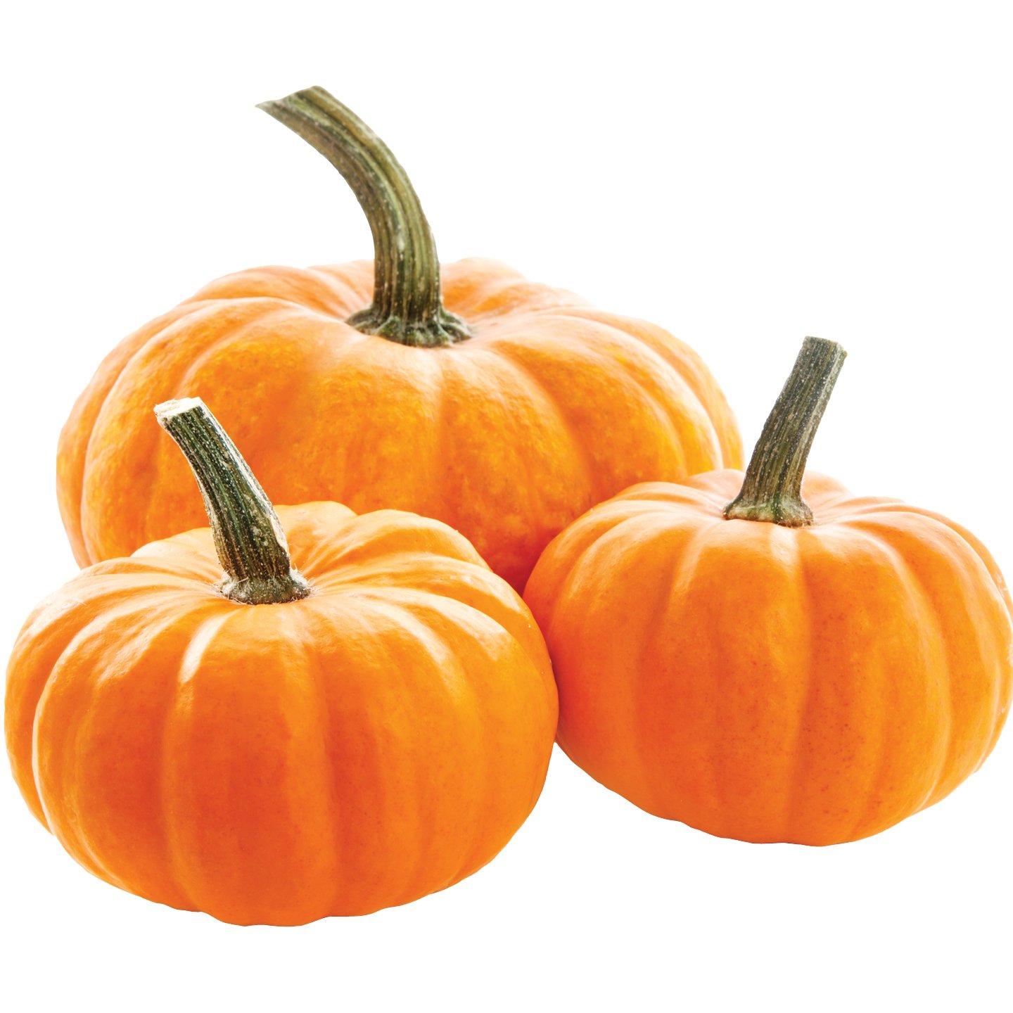 Halloween Tök