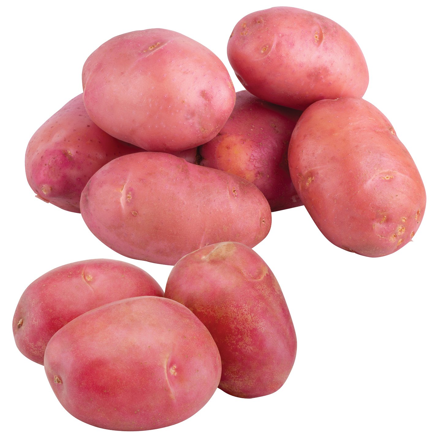 Piros Burgonya