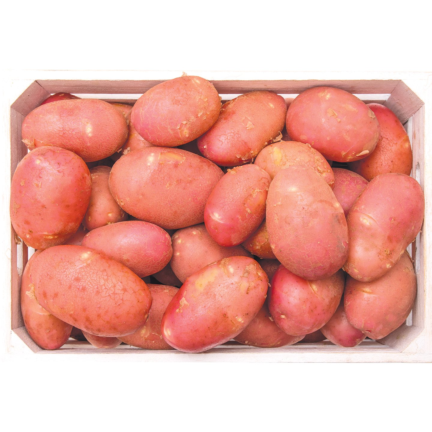 Piros újburgonya