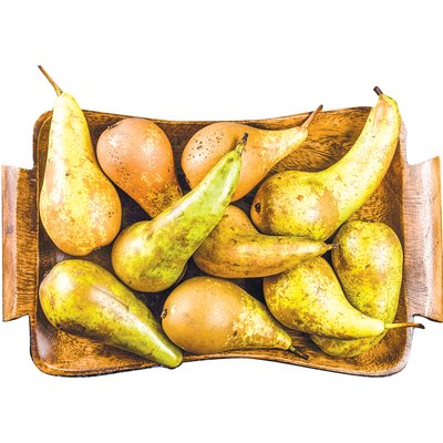 CONFERENCE KÖRTE termékképe