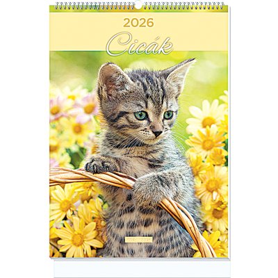 FALINAPTÁR termékképe