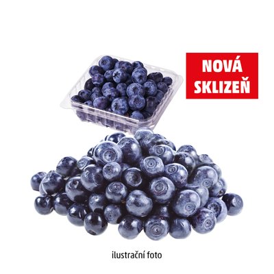 obrázek Borůvky