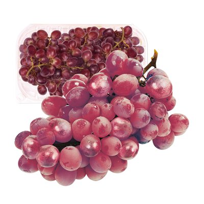obrázek Hrozny růžové bezsemenné