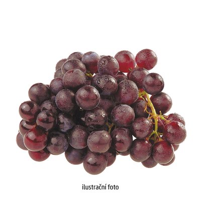 Image of Vino hroznové modré