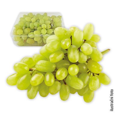 obrázek Hrozno bílé bezsemenné