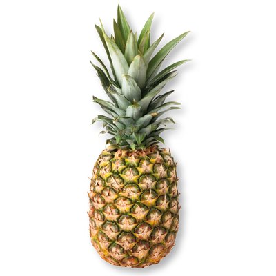 obrázek Ananas
