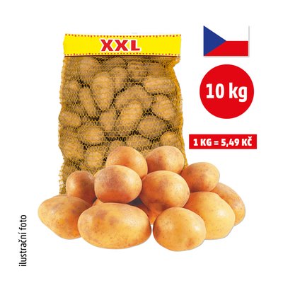obrázek XXL BRAMBORY  KONZUMNÍ POZDNÍ 10 KG