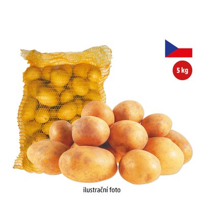 obrázek Brambory konzumní rané