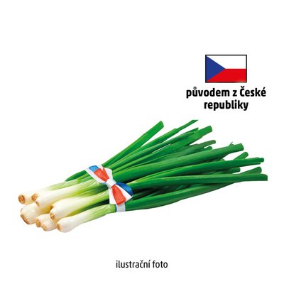 Image of Cibule lahůdková svazek