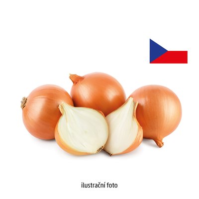 obrázek Cibule volná