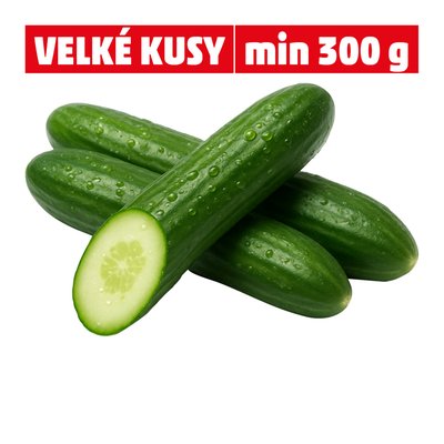 obrázek Okurka salátová