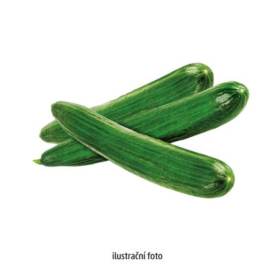 obrázek Okurka salátová