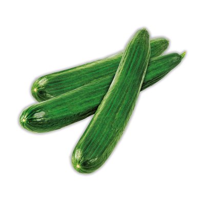 obrázek Okurka salátová